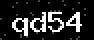 verify code