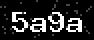 verify code
