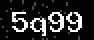 verify code