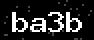 verify code
