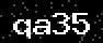 verify code